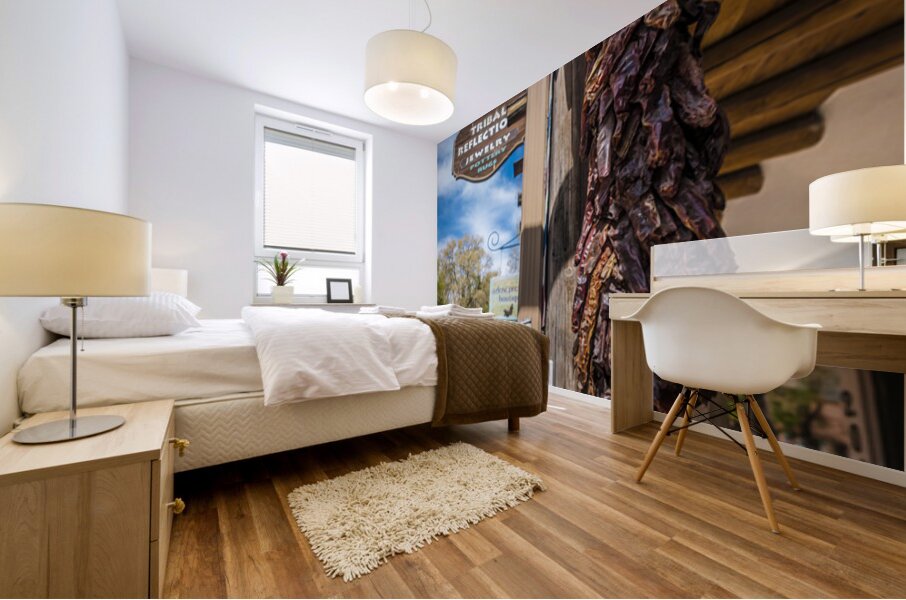 Sante Fe New Mexico Shops Mural print