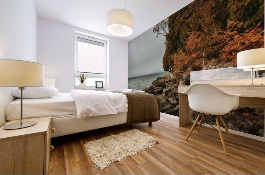 Lake Michigan Shore Line Wisconsin Mural print