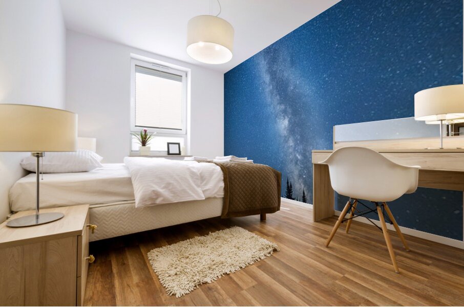 Minnesota North Shore Star Gazing Mural print