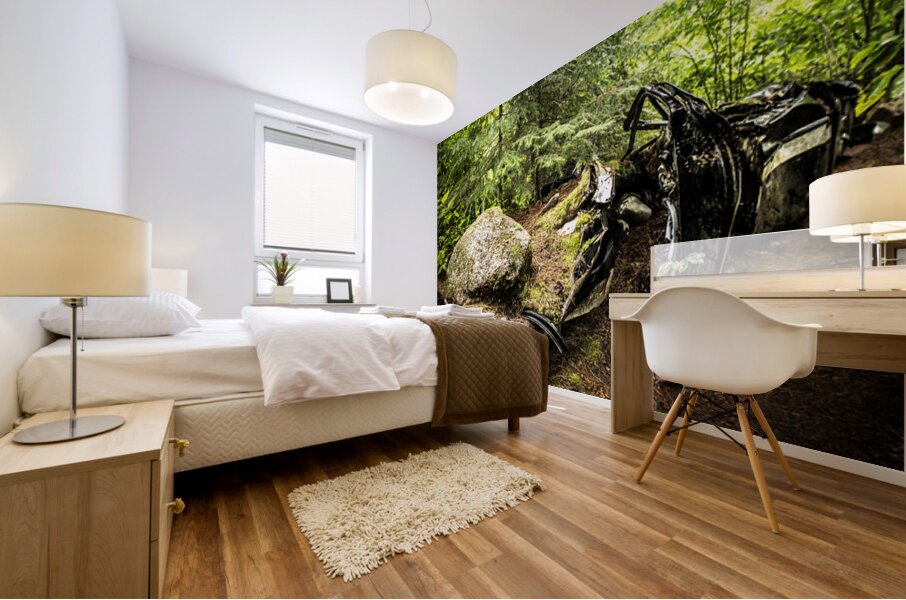 Boulder Car in Nature Mural print