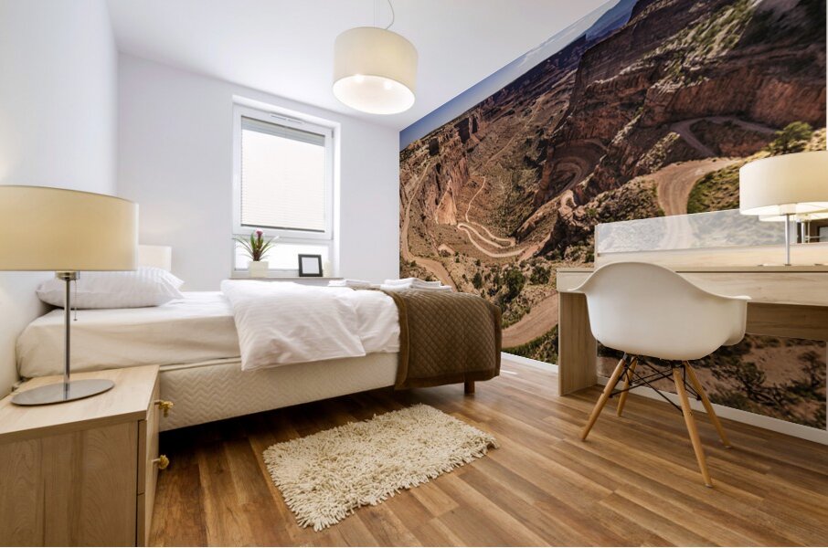 Schafer Road Canyonlands National Park Mural print