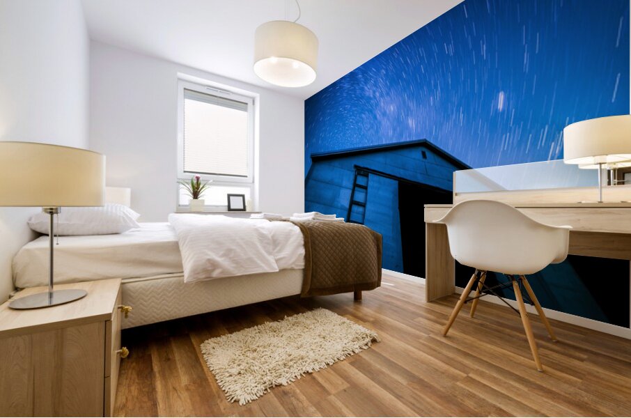 Star Trails over Farm Country Mural print