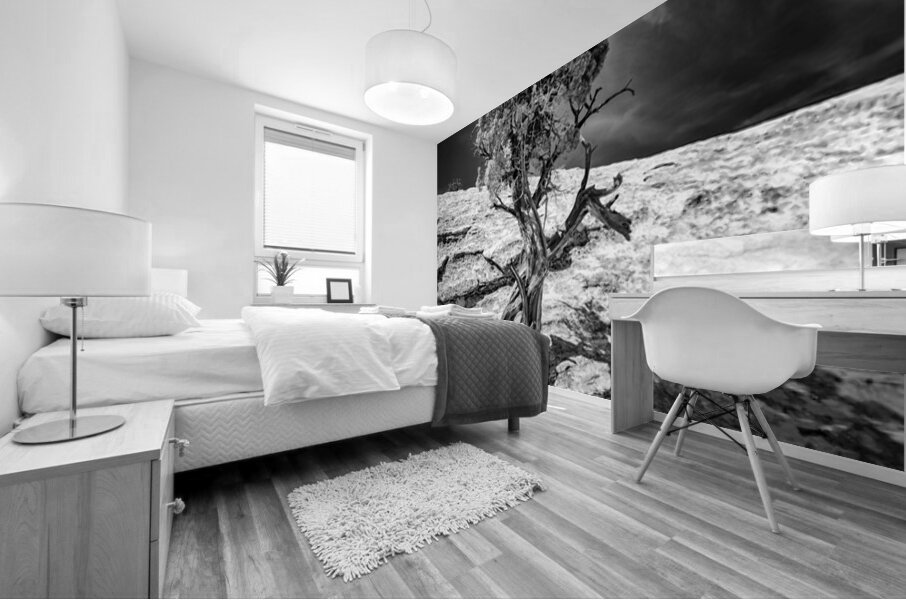 Weathered Juniper in Arches National Park Mural print