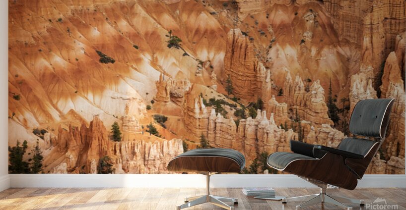 Bryce Canyon Theater Wall Murals