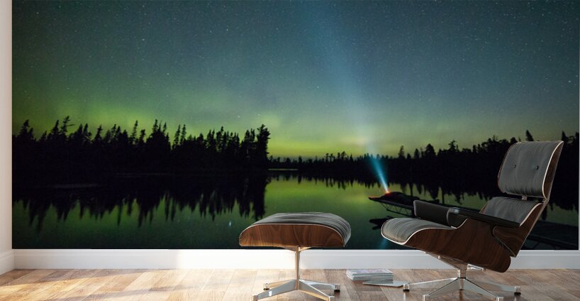 Northern Lights In Action Wall Murals