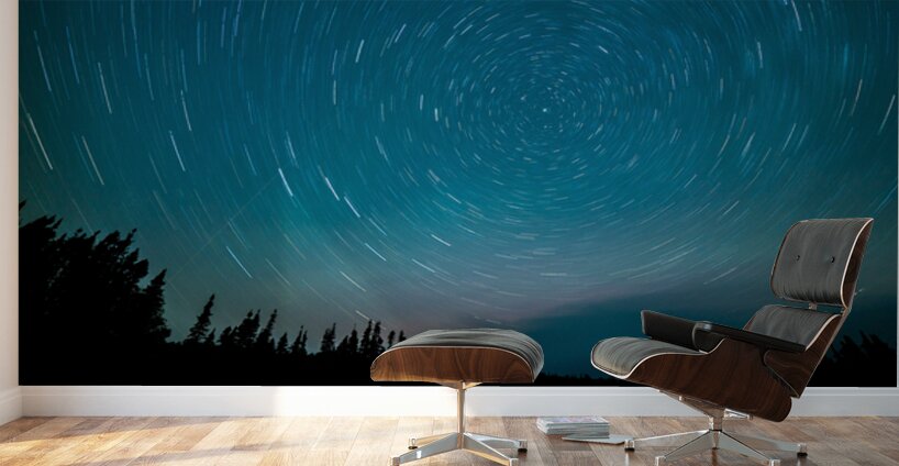 Minnesota Nights Wall Murals