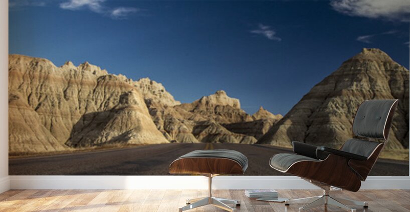 Badlands Freeway Vertical Wall Murals