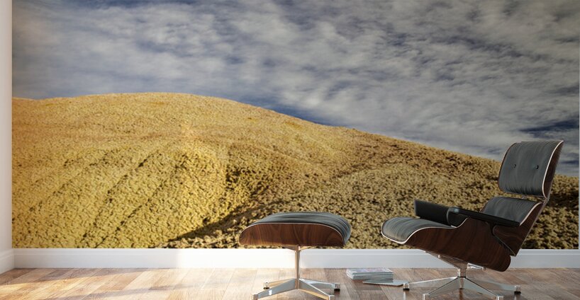 Heaven In The Badlands Wall Murals