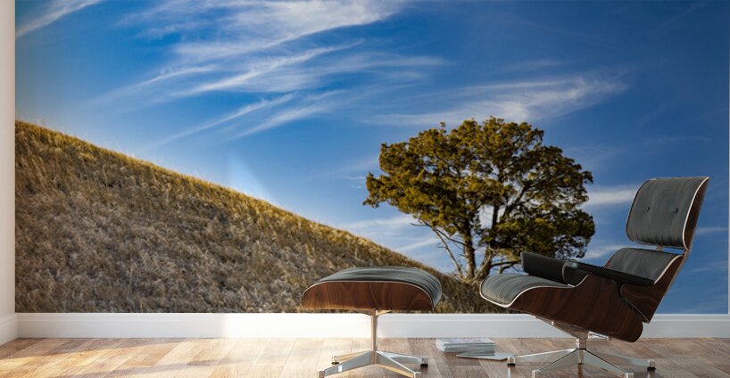 Slanted Tree Wall Murals