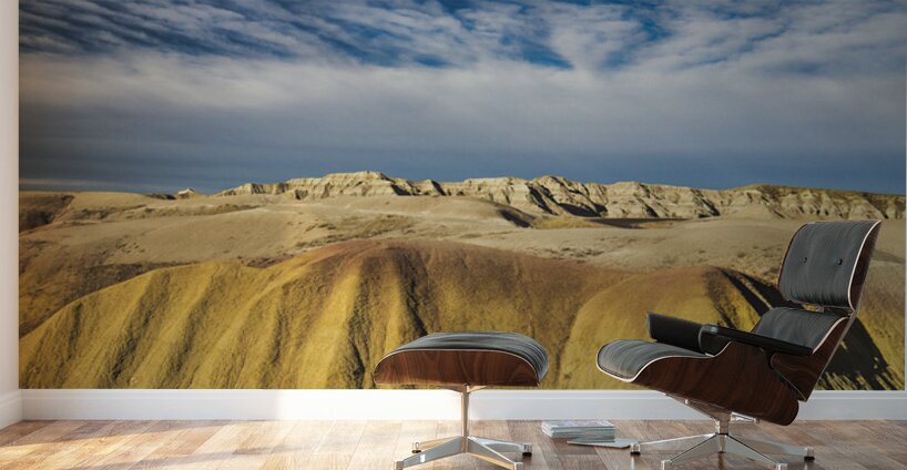 Aliens In The Badlands Wall Murals