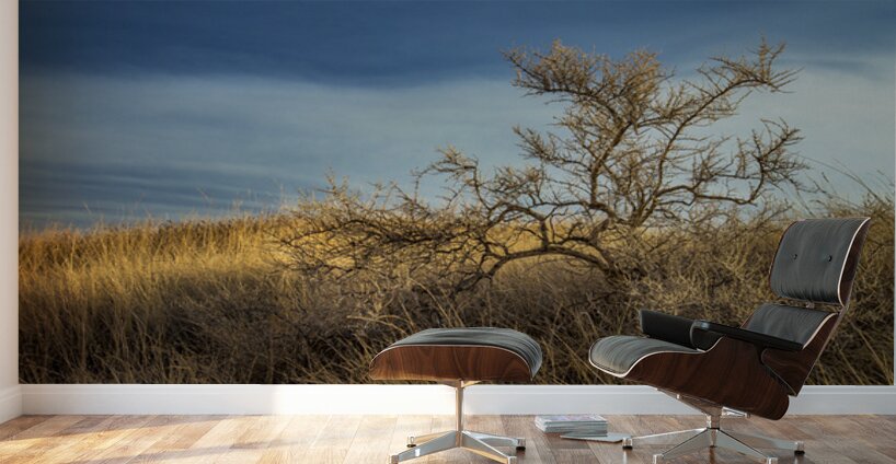 Brush In The Badlands Wall Murals