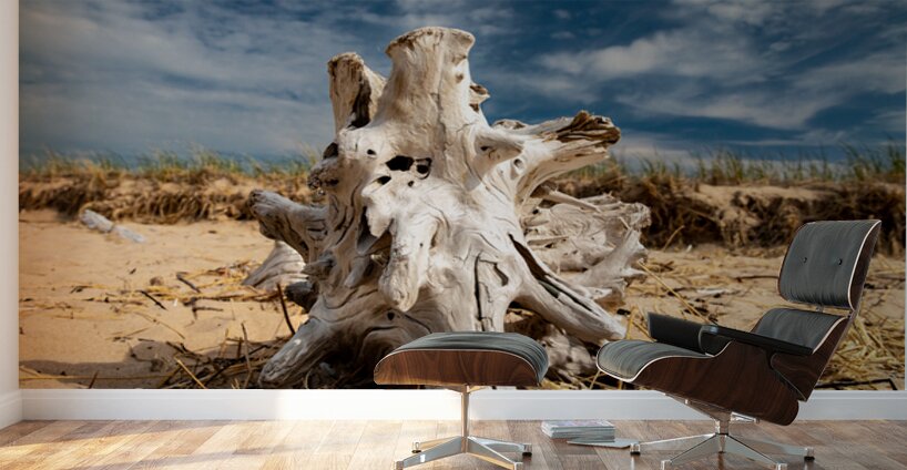 Driftwood ON the Beach Wall Murals