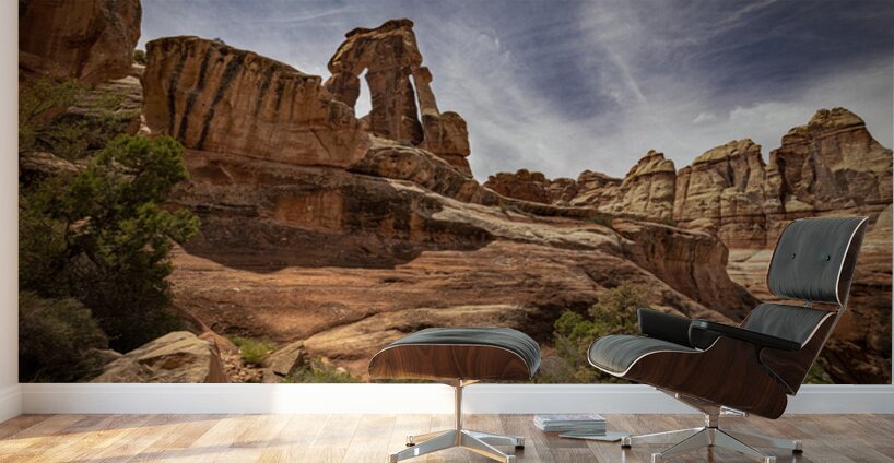 Druid Arch Canyonlands Wall Murals