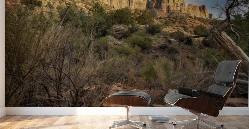 The Watchman of Zion Wall Murals