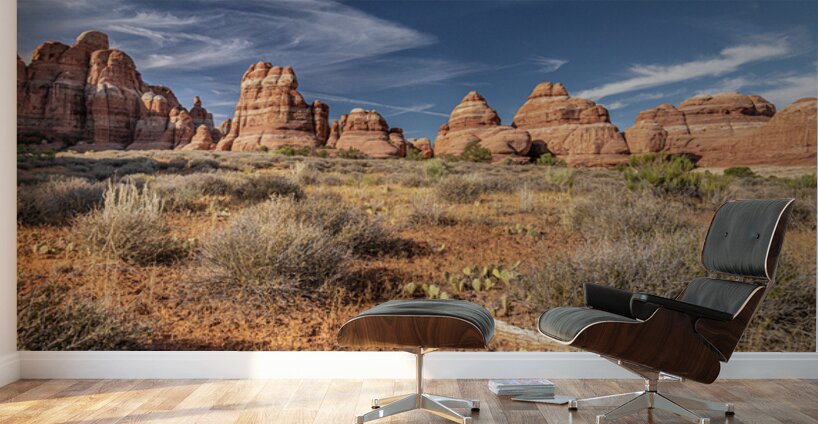 Canyonlands Theater Wall Murals