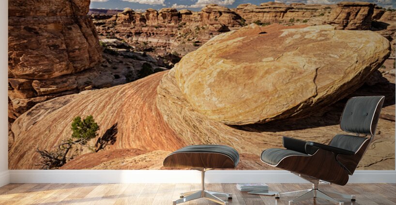 Canyonlands Outcrop Wall Murals