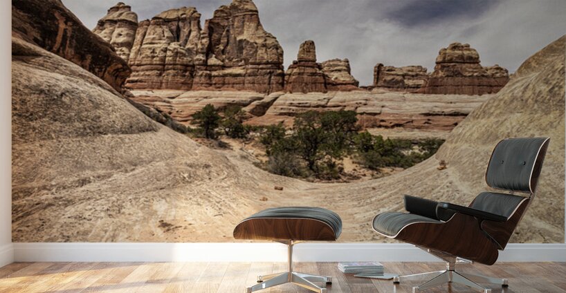 Canyonlands Half Pipe Wall Murals