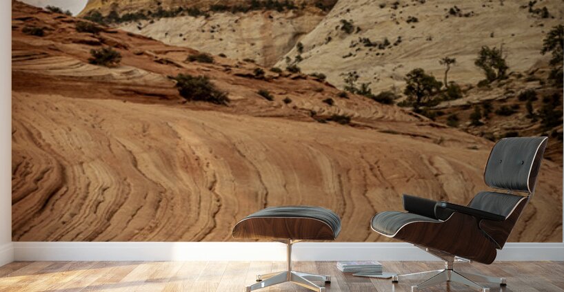 Zion Towers Wall Murals