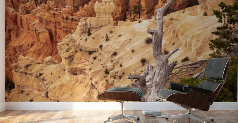 Deadwood Over Bryce Wall Murals