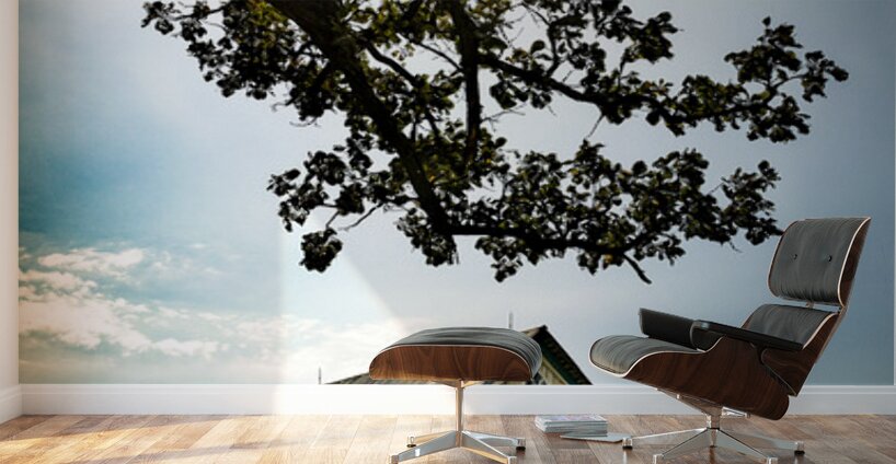 Iowa Barns Wall Murals