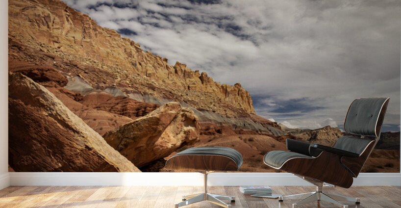 Rock Canyon Wall Murals