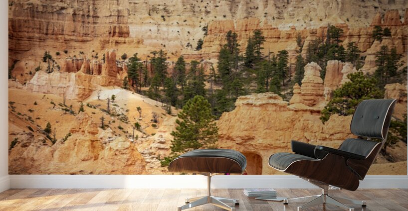 The Pathways of Bryce Wall Murals