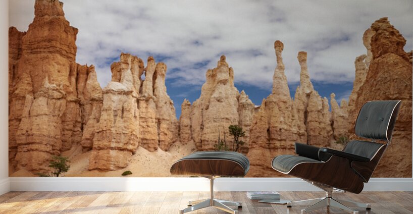 The Hoodoos of Bryce Wall Murals