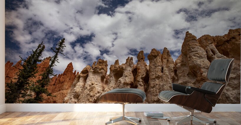 Towering Bryce Wall Murals