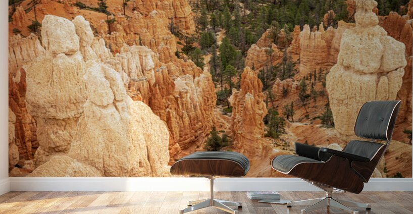 Bryce Canyon National Park Wall Murals