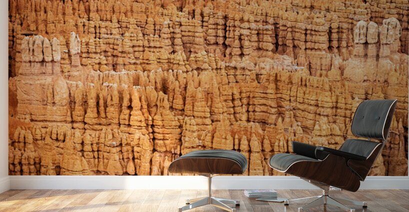 Hoodoo Nation Wall Murals