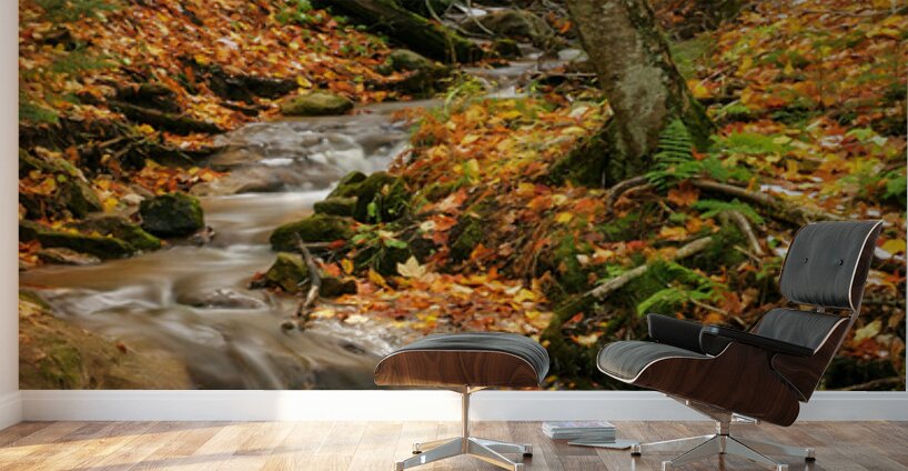 Streams of Michigan Wall Murals