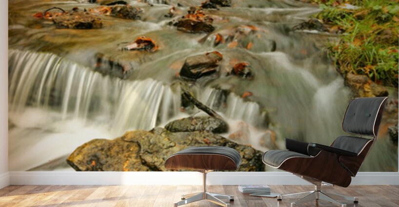 Splendors of Fall Wall Murals