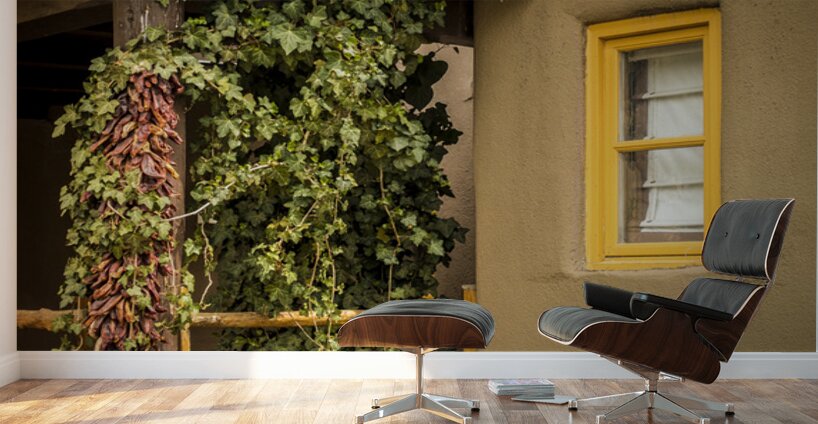 Santa Fe Chili Peppers Wall Murals