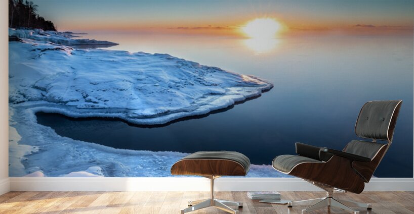Winter of Sun Wall Murals