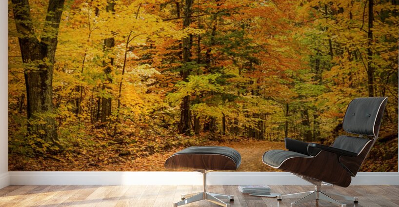 Road to Fall Wall Murals