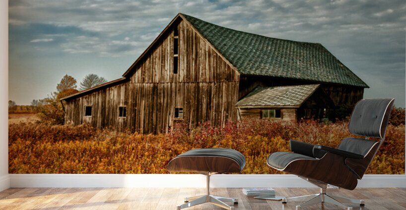 Barn For The Ages Wall Murals