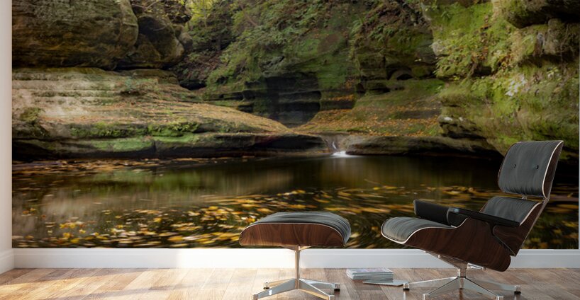 Fall In the Canyon Wall Murals