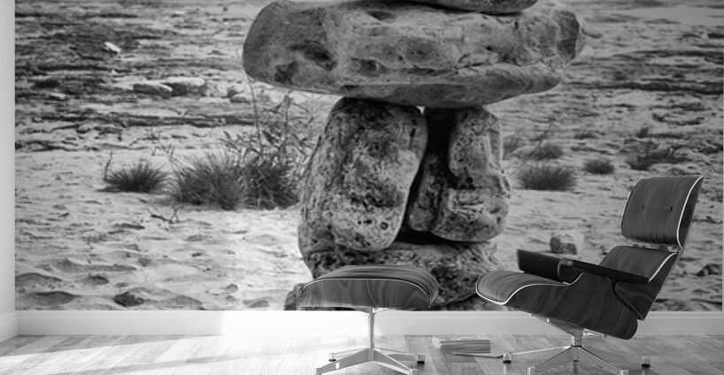 Rock Beach Wall Murals