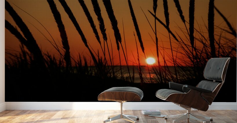 Lake Michigan Sunset Wall Murals