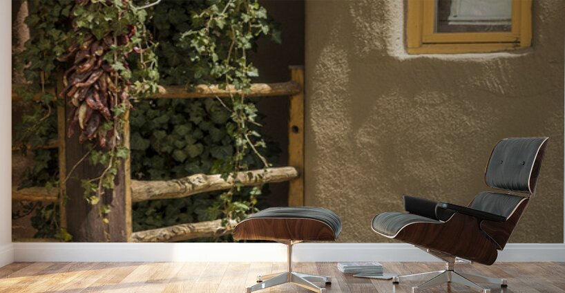 Sante Fe New Mexico Chili Peppers Wall Murals