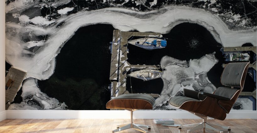 Iced In Minnesota Wall Murals