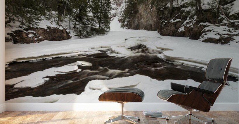 Winter Canyon on River Wall Murals