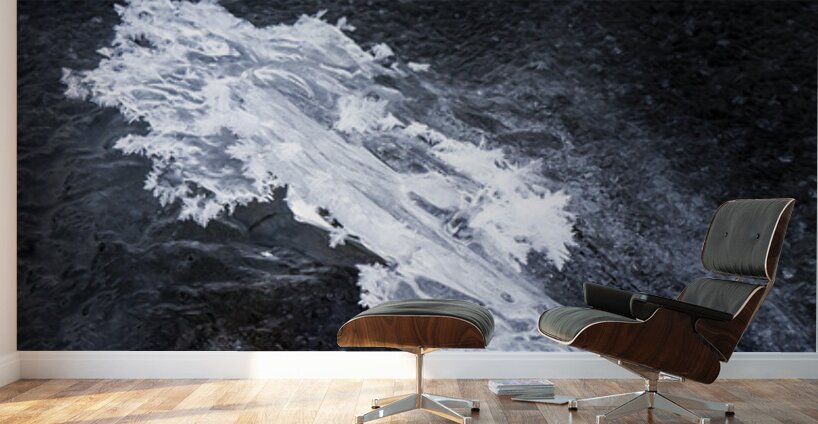 Ice Art Wall Murals