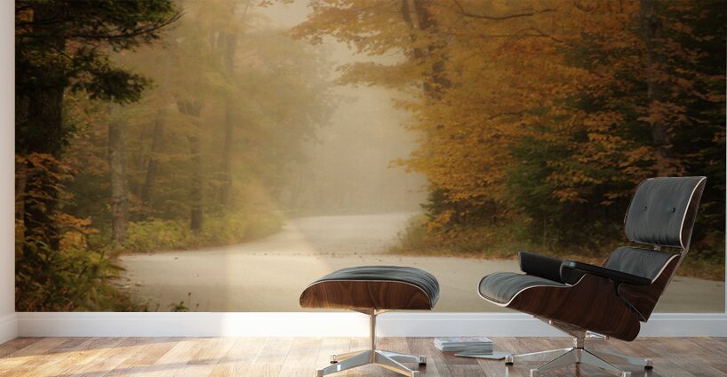 Fall In Door County Wisconsin Wall Murals