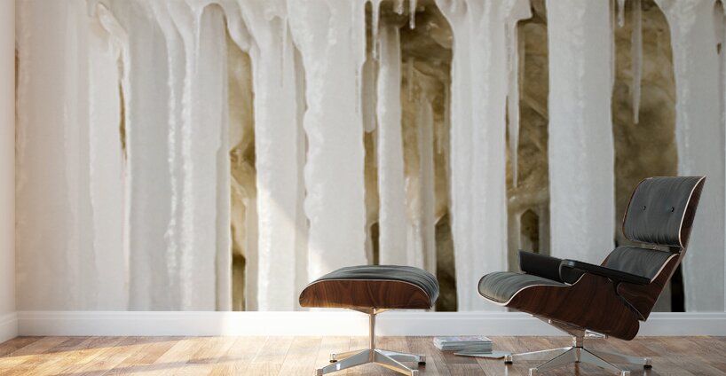 ICE JAIL Wall Murals