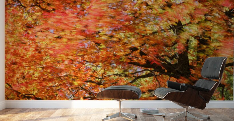 Tree on Fire Wall Murals