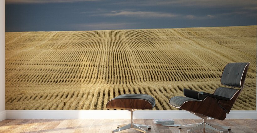 South Dakota Farm Country Wall Murals
