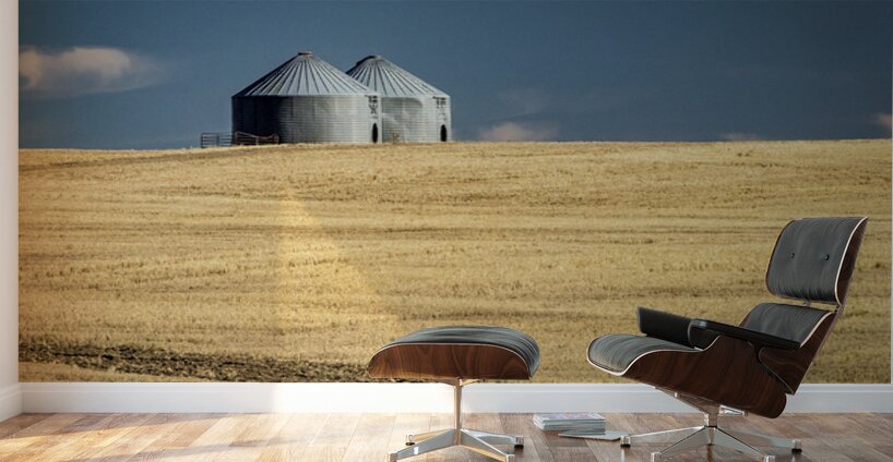 Farm Country USA Wall Murals