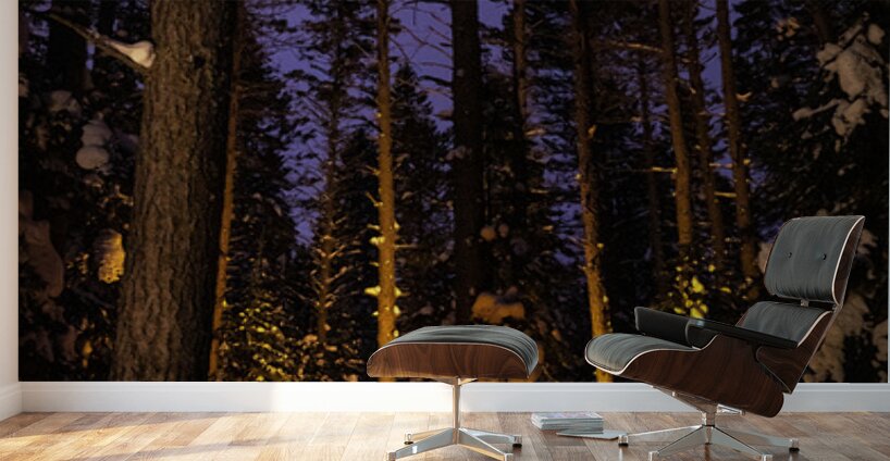 Minnesota Northwoods Winter Camping Wall Murals