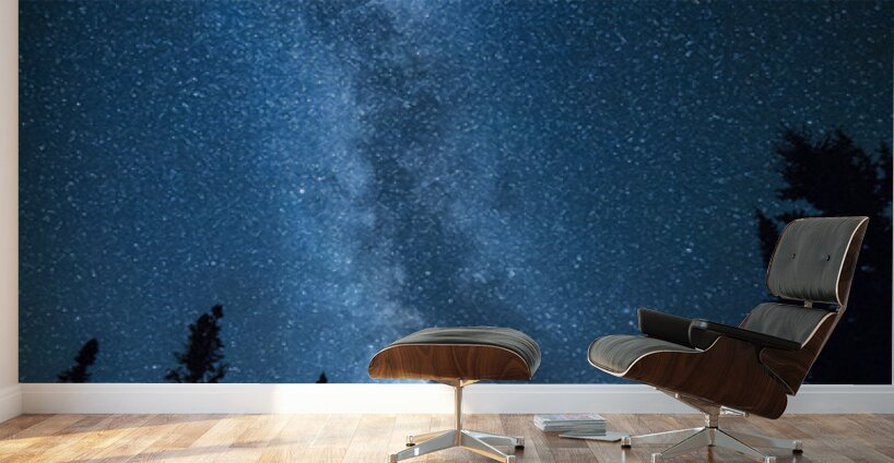 Milky Way over Minnesota Wall Murals
